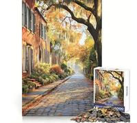 Puzzle da 1000 pezzi con dipinto del distretto storico di Savannah Georgia per adulti ideale per rafforzare la memoria per il tempo libero e il divertimento con bordi di qualità e un regalo elegante