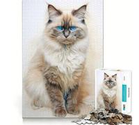 Puzzle da 1000 pezzi con disegno di gatto Ragdoll per adulti, gioco di logica e rilassamento, con taglio preciso e piacevole sorpresa (38x26cm)