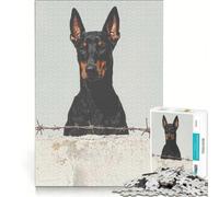 Puzzle da 1000 pezzi con Doberman Pinscher dietro una recinzione gioco rilassante per genitori e figli regalo per amici e familiari 38x26cm