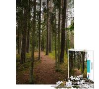 Puzzle da 1000 pezzi con foto di una foresta magica ideale per ragazzi perfetto per una gara di velocità a mano libera per compleanni e Natale 38x52cm