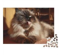 Puzzle da 1000 pezzi con gatto brontolone e soffice, ideale per adulti. Gioco educativo, bellissima decorazione, sfida di alta difficoltà, regalo di compleanno. 38x26cm/1000pcs
