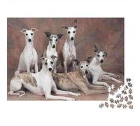 Puzzle da 1000 pezzi con gruppo di levrieri italiani, ritratto di gruppo di cani Whippet, gioco educativo per adulti, decorazione per la casa,stimolante, per compleanni, 52x38 cm