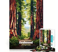 Puzzle da 1000 pezzi con illustrazione di una foresta di sequoie della California ideale per adolescenti gioco stimolante per l'intelletto e il relax mentale con taglio di qualità come per le vacanze