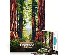 Puzzle da 1000 pezzi con illustrazione di una foresta di sequoie della California ideale per ragazzi gioco di logica e attività per tutta la famiglia con bordi trasparenti e una piacevole sorpresa