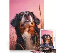 Puzzle da 1000 pezzi con immagine di un cane da montagna bernese,ideale per ragazzi,stimola la capacità di pensiero,offre svago e divertimento,con bordi ben definiti e rappresenta un regalo invernale