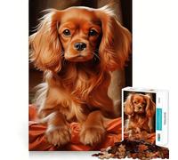Puzzle da 1000 pezzi con immagine di un Cavalier King Charles Spaniel rubino, ideale per ragazzi, un gioco di logica e svago, con taglio liscio e un regalo speciale (38x52cm)