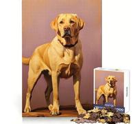 Puzzle da 1000 pezzi con Labrador giallo per ragazzi, ideale per sviluppare le capacità logiche, per un'attività rilassante e precisa, perfetto come regalo di Natale (38x26cm)