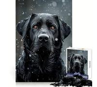 Puzzle da 1000 pezzi con Labrador nero nella neve per ragazzi, ideale per il benessere mentale, il tempo libero e il divertimento Perfetto per creare un bel puzzle e come regalo (50x75cm)