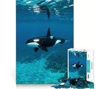 Puzzle da 1000 pezzi con orca sott'acqua per ragazzi, puzzle di memoria, leggero, rilassante, immagine da assemblare, (38x26cm)