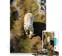 Puzzle da 1000 pezzi con orso polare nell'erba, ideale per ragazzi, gioco di logica stimolante, evasione rilassante, bordi trasparenti, regalo di compleanno (38x26cm)