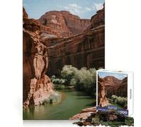 Puzzle da 1000 pezzi con paesaggio del fiume Canyon per adolescenti, puzzle nitido, rilassante, taglio uniforme, regalo speciale (38x52cm)