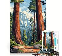 Puzzle da 1000 pezzi con paesaggio di sequoie per adulti, gioco intelligente con bordi affilati, ideale per creare un'atmosfera da sogno (38x52cm)
