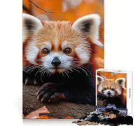 Puzzle da 1000 pezzi con panda rosso su un ramo in autunno, ideale per adulti Migliora la memoria, crea un'atmosfera rilassante e divertente Bordi netti Regalo perfetto per le vacanze (50x75cm)
