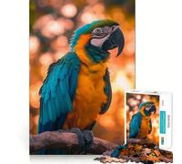 Puzzle da 1000 pezzi con pappagallo e tramonto, ideale per adulti Gioco di logica, rilassante e divertente, con taglio perfetto e un regalo elegante (38x52cm)