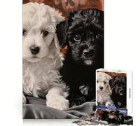 Puzzle da 1000 pezzi con ritratto di due cuccioli di barboncino, ideale per adulti, un esercizio mentale rilassante e un regalo di Natale perfetto (38x26cm)