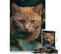 Puzzle da 1000 pezzi con ritratto di gatto arancione tra il fogliame verde, per adulti, gioco cognitivo, attività di gruppo, assemblaggio, idea regalo di Babbo Natale (38x26cm)