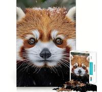 Puzzle da 1000 pezzi con ritratto di panda rosso nella neve invernale, ideale per ragazzi Stimola la memoria, rilassa e diverte Taglio di alta qualità Regalo elegante (38x26cm)