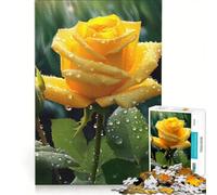 Puzzle da 1000 pezzi con rosa gialla e gocce di pioggia gioco per tutta la famiglia divertente e spiritoso compleanno e Natale 50x75cm