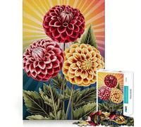 Puzzle da 1000 pezzi con tre dalie e sfondo a raggiera, ideale per adulti Gioco di logica, antistress, con bordi trasparenti, perfetto come regalo per le festività 50x75cm