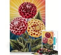 Puzzle da 1000 pezzi con tre dalie e sfondo a raggiera, ideale per adulti Gioco di logica e divertimento rilassante Pezzo artistico di alta qualità 38x52cm