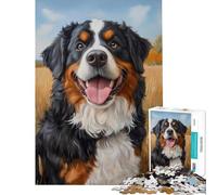 Puzzle da 1000 pezzi con un allegro cane bernese in un campo di grano ideale per ragazzi e famiglie per un divertimento interattivo tra genitori e figli compleanni e Natale 38x52cm