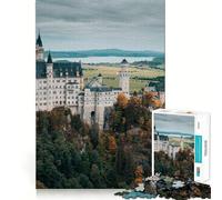 Puzzle da 1000 pezzi del Castello di Neuschwanstein per adulti, gioco di puzzle per allenare la mente, attività artistica da assemblare e regalo elegante (50x75cm)