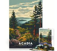 Puzzle da 1000 pezzi del Parco Nazionale di Acadia per ragazzi, stimolante per la logica, ideale per una fuga rilassante, con bordi nitidi e un accogliente regalo di Natale (50x75cm)