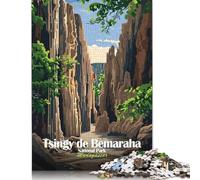 Puzzle da 1000 pezzi del Parco Nazionale Tsingy De Bemaraha, Madagascar Puzzle di carta per adulti e dai 18 anni in su Gioco intellettuale 38x26 cm/1000 pezzi
