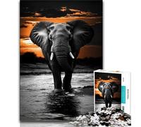 Puzzle da 1000 pezzi Elefante Puzzle da 1000 pezzi per adolescenti arte a carboncino per uccidere il tempo in casa per la decorazione della casa (50x75cm)