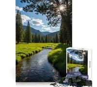 Puzzle da 1000 pezzi "Fiume sereno attraverso un prato nel bosco" per adolescenti Gioco di puzzle per stimolare la mente e creare un'atmosfera rilassante Regalo di Natale di qualità (38x26cm)