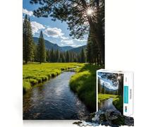 Puzzle da 1000 pezzi "Fiume sereno attraverso un prato nel bosco" per adolescenti Gioco di puzzle per stimolare la mente e creare un'atmosfera rilassante Regalo di Natale di qualità (38x26cm)
