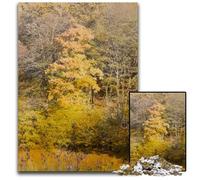 Puzzle da 1000 pezzi "Giallo autunno foresta" Puzzle di carta perfetti per la casa o l'ufficio regalo di Natale ideale 1000 pezzi (38x26 cm)