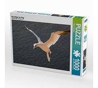 Puzzle da 1000 pezzi in volo