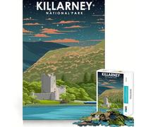 Puzzle da 1000 pezzi Killarney Cielo notturno Arte Incastro perfetto Gioco creativo Gioco per il tempo libero Decorazione natalizia (38x52cm)