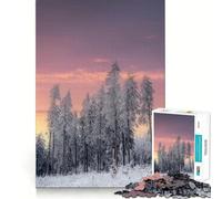 Puzzle da 1000 pezzi "La bellezza dell'inverno",con bordi perfetti,gioco intelligente,sfida divertente,gioco lento,regalo di compleanno (38x52cm)