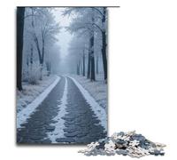 Puzzle da 1000 pezzi La strada di ciottoli è ricoperta di brina argentata Puzzle in legno Giochi educativi Decorazione per la casa 1000 pezzi (38x26 cm)
