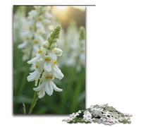 Puzzle da 1000 pezzi "Le canne bianche come la neve ondeggiano nel vento" regali per adulti lista dei desideri di Natale con Babbo Natale per adolescenti dai 14 anni in su 1000 pezzi (38x26 cm).
