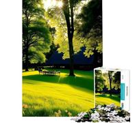Puzzle da 1000 pezzi "Lonely Is The Bench" sfida per l'intelligenza giocattolo avvincente giochi per famiglie adatto alle coppie opera d'arte regalo (dimensioni 38x26cm)
