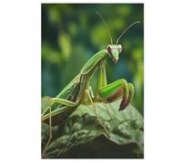 Puzzle Da 1000 Pezzi Mantis Per Adulti Puzzles in Legno Giocattolo Educativo Antistress Dimensioni (78×53cm)