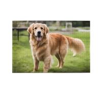 Puzzle da 1000 pezzi Mjhkxlj Carino Golden Retriever Puzzle in legno di qualità per adulti e bambini, puzzle divertenti, puzzle antistress