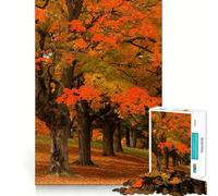 Puzzle da 1000 pezzi "New England Fall in Boston" per adulti, gioco intelligente e rilassante, con schema di montaggio e sorpresa (50x75cm)