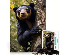 Puzzle da 1000 pezzi "Orso del sole che si arrampica su un albero" per adolescenti, ideale per migliorare la memoria e il tempo libero Pezzo unico con Babbo Natale 50x75cm