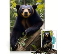 Puzzle da 1000 pezzi Orso del sole nella foresta per adulti, gioco di logica puro, divertimento rilassante, tagli netti, 50x75cm