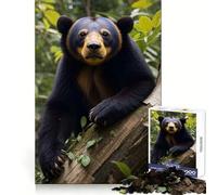 Puzzle da 1000 pezzi Orso del sole nella foresta per adulti, gioco di logica puro, divertimento rilassante, tagli netti, 50x75cm