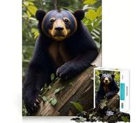Puzzle da 1000 pezzi "Orso del sole nella foresta" per adulti, regalo, gioco per allenare la mente, rilassante, artistico, da assemblare, regalo memorabile 38x26cm