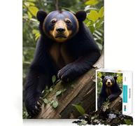 Puzzle da 1000 pezzi "Orso del sole nella foresta" per adulti, regalo, gioco per allenare la mente, rilassante, artistico, da assemblare, regalo memorabile 38x52cm