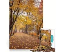 Puzzle da 1000 pezzi per adolescenti,autunno,Cracovia,foresta,parco,incastro perfetto,arte,gioco per la mente,regalo,tempo libero,Natale,arte (38x26cm)