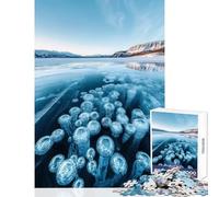 Puzzle da 1000 pezzi per adolescenti Bolle di metano congelate nel lago Abraham Giocattoli per la decorazione della casa Regali di Babbo Natale segreto Gioco rompicapo Collezione di artisti Belle arti