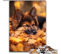 Puzzle da 1000 pezzi per adolescenti Cane da pastore tra le foglie cadute, giocattoli educativi ideali come regalo per tutta la famiglia dai 14 anni in su (dimensioni 50x75cm)
