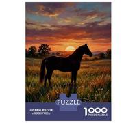 Puzzle da 1000 pezzi per adolescenti, cavallo al tramonto nel campo, giocattoli antistress, regali per donne, regali per alleviare lo stress, 70 x 50 cm/1000 pezzi